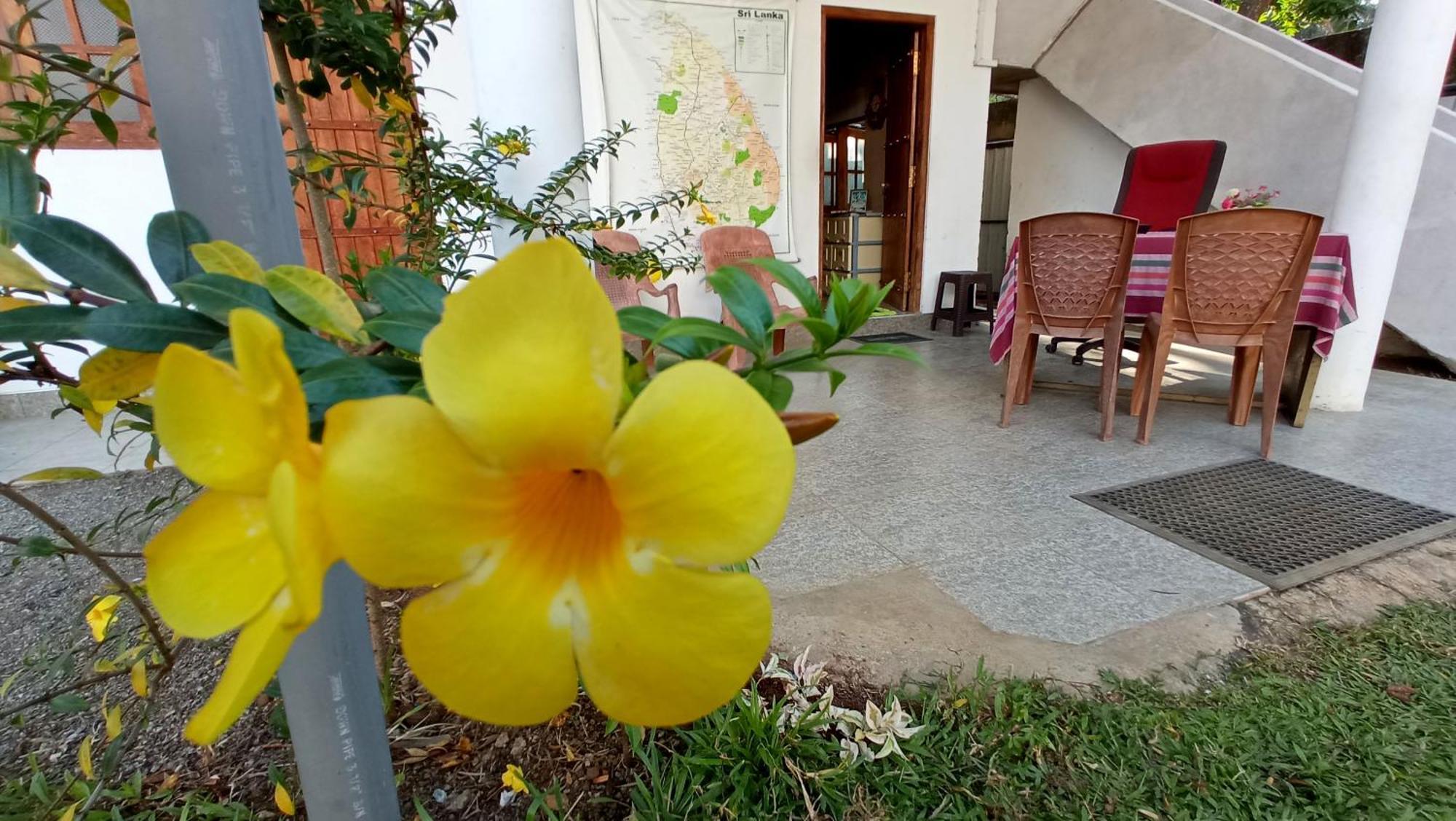 Bed and Breakfast Safari Horizon Udawalawe Exterior foto